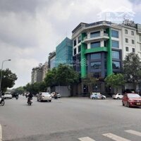 Bán Tòa Vp Mp Mạc Thái Tông, Nam Trung Yên Lô Góc 3 Thoáng, 280M2, 8 Tầngmặt Tiền20M, 5 Tỷ/Năm, 198 Tỷ