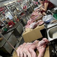 Cần Sang Lô Thịt Heo Chợ Phú Lộc