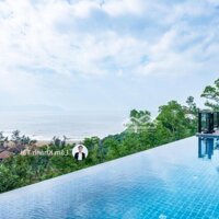 Biệt Thự Banyan Tree Residences Lăng Cô - Tựa Núi View Biển - Mở Bán 2 Căn Duy Nhất!