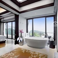 Biệt Thự Banyan Tree Residences Lăng Cô - Tựa Núi View Biển - Mở Bán 2 Căn Duy Nhất!