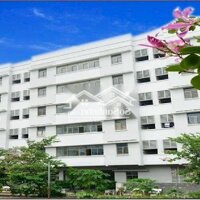 Cho Thuê Kho Xưởng 12.000M2 Pccc Trong Khu Chế Xuất Tân Thuận Quận 7