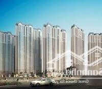 Cho Thuê Ki Ốt Khoảng 40M2 Chung Cư D''capital Tân Hoàng Minh - Trần Duy Hưng.0985831251 Lh Mrs Thảo