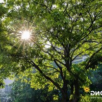 03 Sức Hút Đầu Tư Chỉ Có Tại Phú Đông Sky Garden. Ngày Về Nhà Mới Bắt Đầu Cho Cuộc Sống Yên Bình