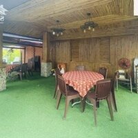 Bán Lỗ Farm Nghĩ Dưỡng, Full Tiện Ích , Ngay Sân Golf 36 Lỗ Và Đồi Cừu Suối Nghệ