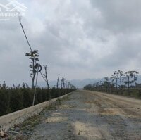 Bán 10.000M2 Đất Kho Nhà Xưởng 50 Năm Tại Huyện Ân Thi, Tỉnh Hưng Yên