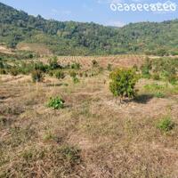 Cần bán 5ha vườn sầu riêng trên 2 năm tuổi  Xã Triệu Hải, Đạ Tẻh, Lâm Đồng