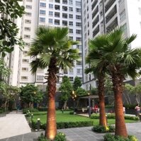 Cho Thuê Chcc Sunshine Riverside Quận 7 Chỉ 14 Triệu/Tháng