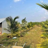 Bán View Nghĩ Dưỡng Tại Xuân Lộc Đồng Nai, Diện Tích: 7000M2 Có Nhà Gỗ,Hồ Cá