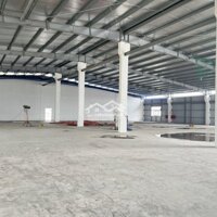 Kho Xưởng Đẹp 4500M2 Mới Xây Chưa Qua Sử Dụng Cho Thuê Tại Kcn Tân Đức