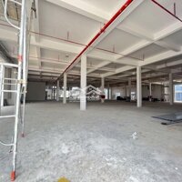 Kho Xưởng Đẹp 4500M2 Mới Xây Chưa Qua Sử Dụng Cho Thuê Tại Kcn Tân Đức