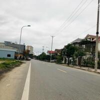Bán lô 250m2 mặt đường 24m, khu đấu giá Ngũ Lộc, Hưng Lộc TP Vinh