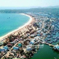 Đầu Tư Đất Biển Bình Định Chỉ Với 890 Triệu Trong 18 Tháng Với Dự Án Grand Navience City