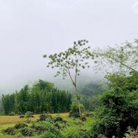 BÁN GẤP mảnh đất đẹp 7500m tại Mai Châu với không gian thoáng đãng mát mẻ gần các địa điểm du lịch nổi tiếng ở Hòa Bình