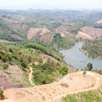 Vib Thanh Lý Lô Đất View Hồ 7500M2 Tại Đak Nông . Sổ Hồng Mới . Giá 550 Triệu