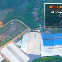 Bán Đất Nền Đấu Giá Cạnh Cụm Công Nghiệp Và Đường Quốc Lộ View Hồ