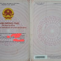 Bán Đất Tặng Nhà Cấp 4 Về Sẵn Ở Mặt Phố Đào Duy Từ - Phường Trường Sơn - Sầm Sơn - Thanh Hóa