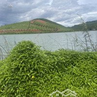 Kẹt Tiền Cần Bán 4000M2 Đất View Hồ Tại Bảo Lộc-Bảo Lâm,Nằm Trong Khu Có Nhiều Homstay