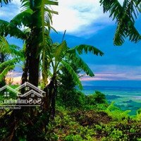 Đất View Hồ Trị An Trên Đồi Tại La Ngà