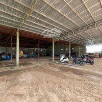 Cho Thuê Kho 2000M2 Tt Phước An - Krong Păc