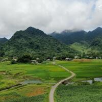 BÁN NHANH ĐẤT MAI CHÂU 7500m chỉ 240k/m2 Mai Châu cái nôi bản sắc văn hoá dân tộc mường, thái, mông là điểm đến Có các khu du lịch cộng đồng