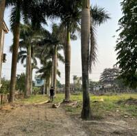 Chúng tôi muốn bán 3500 m2 có 200m đất thổ cư và 3300m đất vườn tại thôn Xuân Khanh, Xã Xuân Sơn, Sơn Tây, Hà Nội.