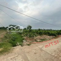 Chính Chủ Bán 1.000M2 Đất Sh Gần Trường Tiểu Học Chương Dương, Thường Tín