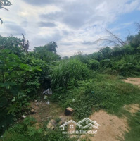 Bán Gấp 117M2 Đất View Sông Dinh Thị Xã Lagi, Giá Thanh Lý 650