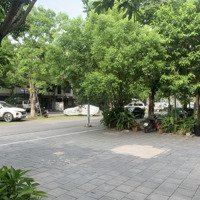 Bán Gấp Căn Góc, Xẻ Khe Thuỷ Nguyên Ecopark - Hoàn Thiện Đẹp - Đang Cho Thuê 30 Triệu/Th.