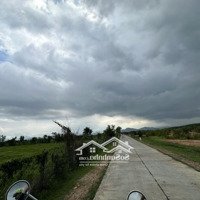 Bán Lô Đất Trang Trại Hàm Thuận Bắc Gần Cao Tốc 1,2Ha Giá Bán 1,1 Tỷ