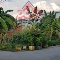 Bán Lô Biệt Thự Góc 2 Mặt Tiền Gần Chợ Thiên Bình, P. Tam Phước 1T590