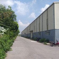 Cần Cho Thuê 4000M2 Kho Chứa Hàng Sát Kcn Phố Nối A