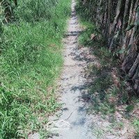 Hàng Hiếm, Giá Rẻ 4244M Vườn Dừa Ma Lai Gần Kcn Đong Bình