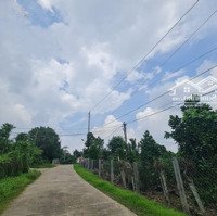 Bán 5.4 Sào Vườn Trái Cấy Phú Thịnh - Huyện Tân Phú Giá Tốt Nhất