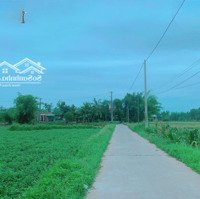 Bán Rẻ Đất View Hồ Sen, Thôn Ninh An, Hòa Nhơn, Hòa Vang 447 M2 Giá Chỉ 350 Triệu Còn Tl;