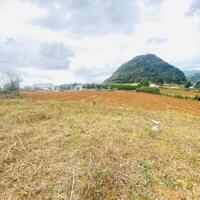 Cần bán nhanh mảnh đất tại Tân Phong, Cao Phong 3984m Diện tích 3984 m2 trong đó đất ont lên tới 1300m, còn lại là đất trồng cây lâu năm