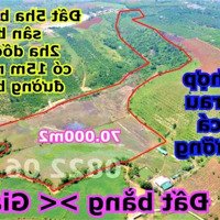 7Ha Đất Trồng Rau Bằng Như Sân Bay Tân Sơn Nhất Tại Đắk Nông