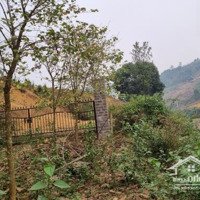 Cần Bán 3,6Ha Đất Rsx Suối Chảy Quanh Tại Xã Cao Sơn, Huyện Lương Sơn, Hòa Bình.