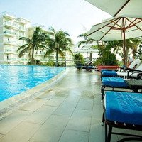 Cho Thuê Căn Hộ 2 Phòng Ngủhướng Biển Ocean Vista