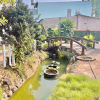 Bán Nhà Vườn Mặt Tiền Bùi Hữu Nghĩa, Tân Hạnh , View Sông Đồng Nai , 1195 M2 Sổ Hồng Thổ Cư 100%