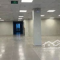 Toà 8 Tầng Cho Thuê Mọi Mô Hình, Xkld, 1200M2, Cạnh Mê Linh Plaza, Có Cắt Lẻ