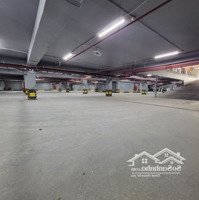 Toà 8 Tầng Cho Thuê Mọi Mô Hình, Xkld, 1200M2, Cạnh Mê Linh Plaza, Có Cắt Lẻ