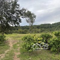 1.2Ha Mặt Tiền Betong Eatieu - Cukuin