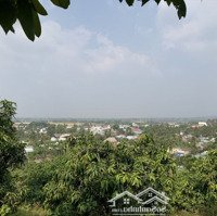 Cần Bán Lô Đất 44.000 Mét Vuông Tại Thì Trấn Định Quán Huyện Định Quán Đồng Nai