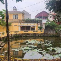 Cần Bán Gấp Nhà Homestay Văn Giang - Hưng Yên (Gần Kđt Ecopark)