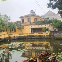 Cần Bán Gấp Nhà Homestay Văn Giang - Hưng Yên (Gần Kđt Ecopark)