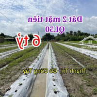 3,3 Công Đất, 2 Mặt Tiền Ql50 - Gò Công Tây