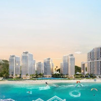 Hỡi Những Tín Đồ Biển Cả - Miami Thứ Hai Trên Thế Giới Đã Về Bình Định