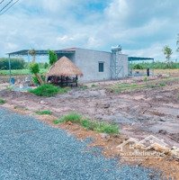 Cần Bán Gấp Lô Đất Vườn 1000M2 Tại Tân Đông, Tân Châu.