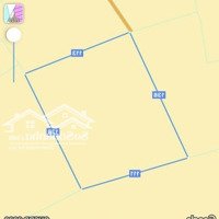 Rẻ Nhất Bình Thuận 70 Triệu/Sào, Đất Cách Ql1A 5 Phút