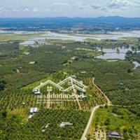 Bán Đất Vườn Cây Ăn Trái, Sổ Sẵn 1000M2, Giá Chỉ 900 Ngàn/M2, Gần Hồ Trị An